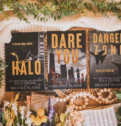 Danger Zone by Brooke Blaine and Ella Frank